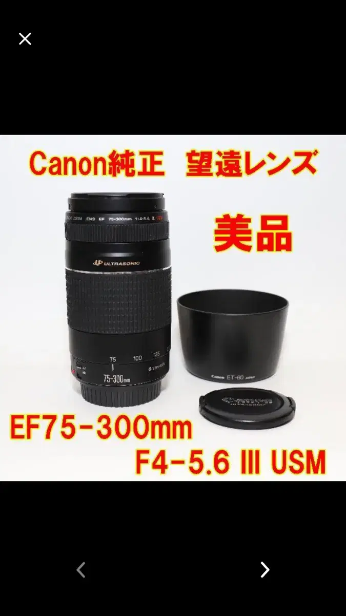 あなたにおすすめの商品 望遠レンズ Canon EF 75-300mm F4-5.6 Ⅲ USM